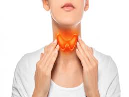 Understanding Thyroid Health: A Journey to Wellness