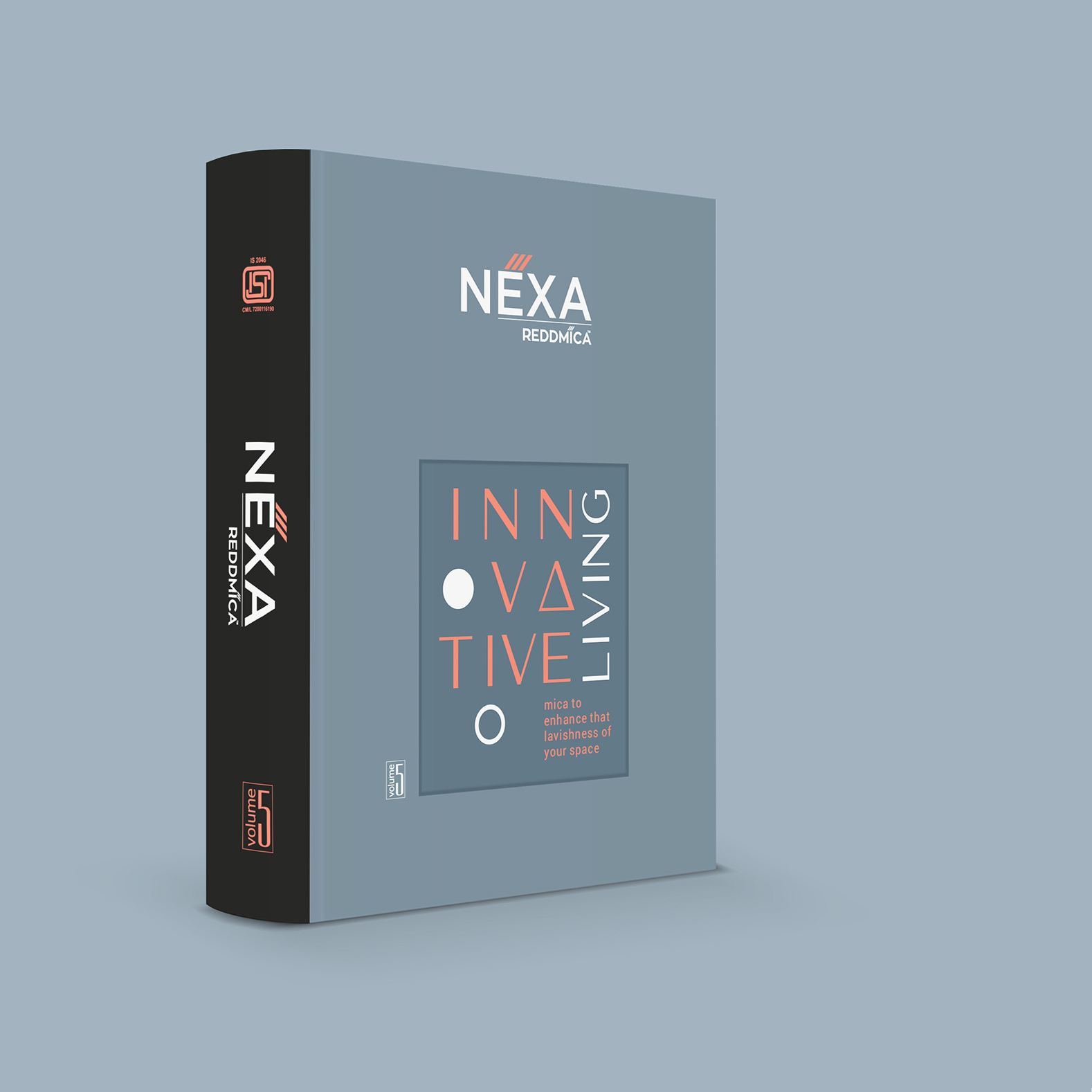 Transforming Spaces with Redd Mica: A Journey of Elegance and Resilience