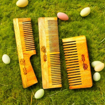 Transforming Homes with Nature: Meet Priya and Her Eco-Friendly Journey