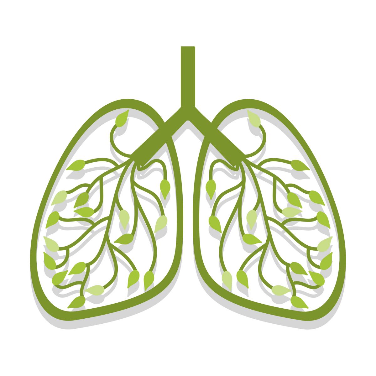 Finding Breath: How Natural Relief Transformed Anjali's Respiratory Health | Bloom of health the herbal clinic of inner peace