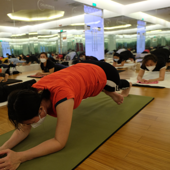 Finding Balance: How Chaturanga Yoga Transformed Anjali’s Life