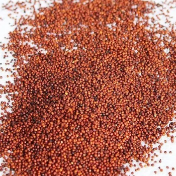 Nourishing Traditions: How Organic Finger Millet Transformed Anjali's Family Health | Organicowls