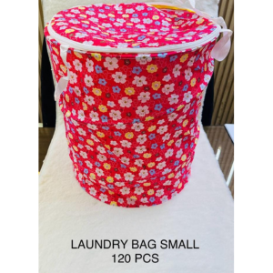 Simplifying Laundry Days: Meet Anika and Her Small Laundry Bag Solution