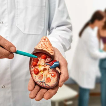 Top Benefits of Choosing the Best Homeopathic Doctor in Pune