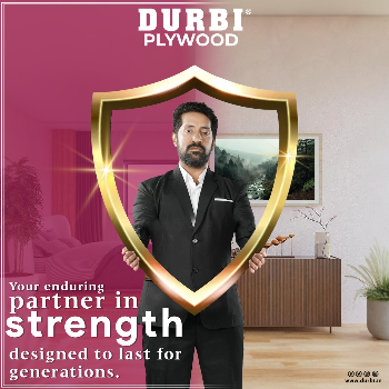 Why Bhagwati Ply and Timber Agency Stands Out Among Plywood Dealers in Dabhoi Road Vadodara