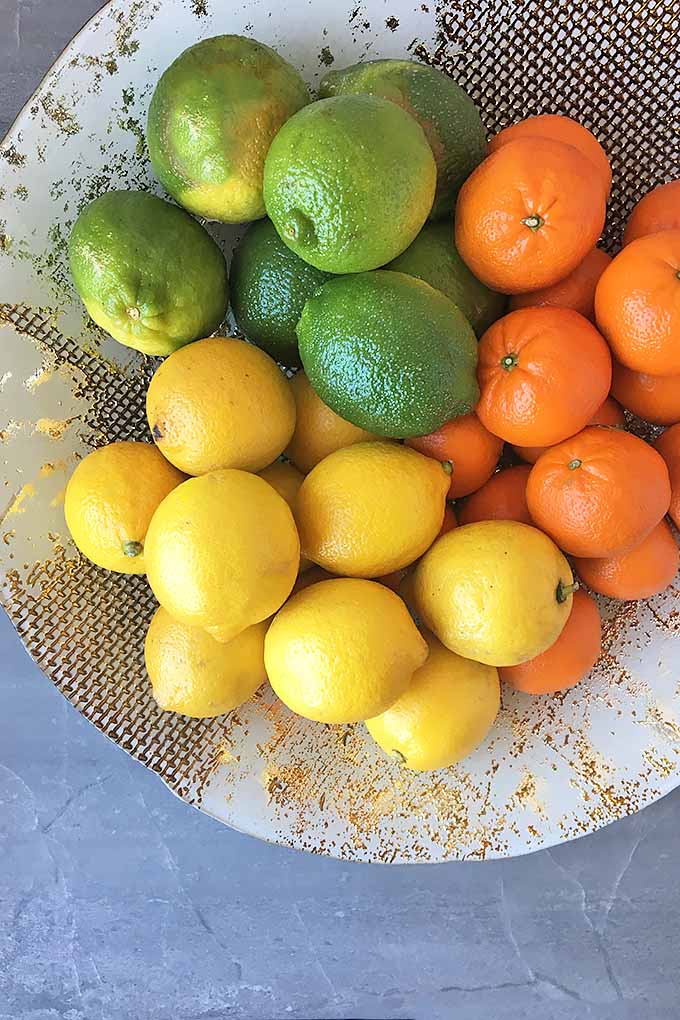 The Citrus Solution: Revitalizing Riya's Health and Happiness