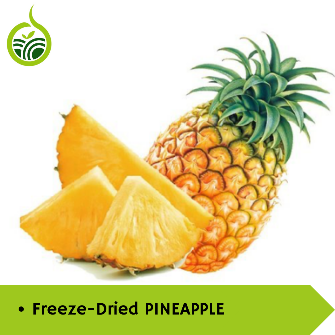 Taste of the Tropics: How Freeze-Dried Pineapple Transforms Busy Lives