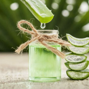 Unlock Radiant Skin: How Aloe Vera Gel Massage Transformed Rina’s Life