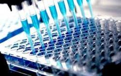 Empowering Precision: Microbiology Testing for Indian Manufacturers