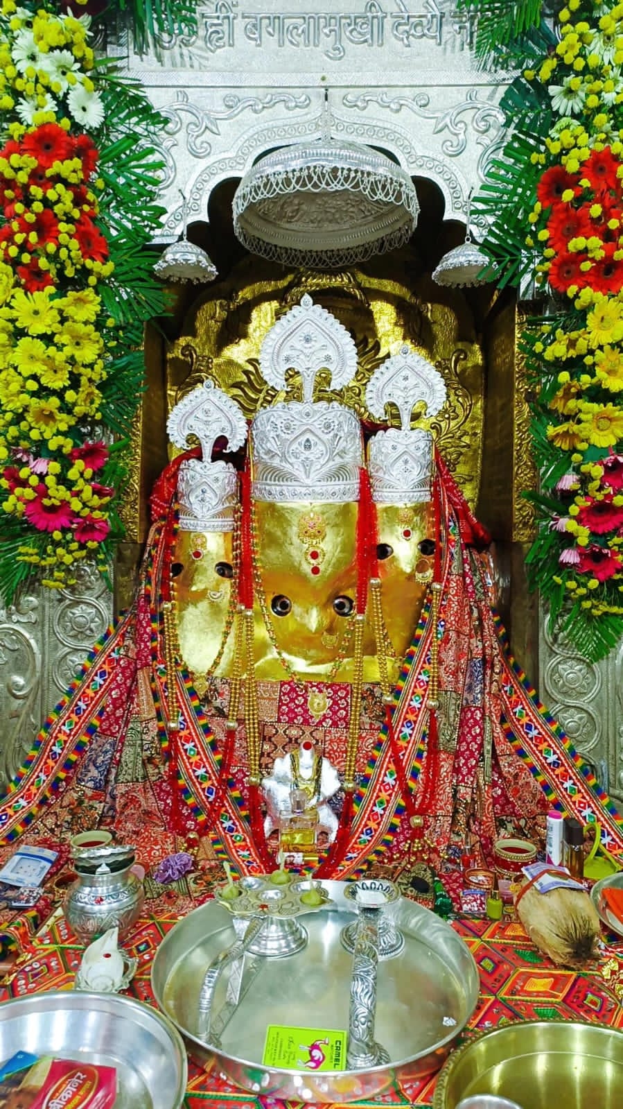 Unveiling the Power of Baglamukhi Political Puja: A Journey from Uncertainty to Influence