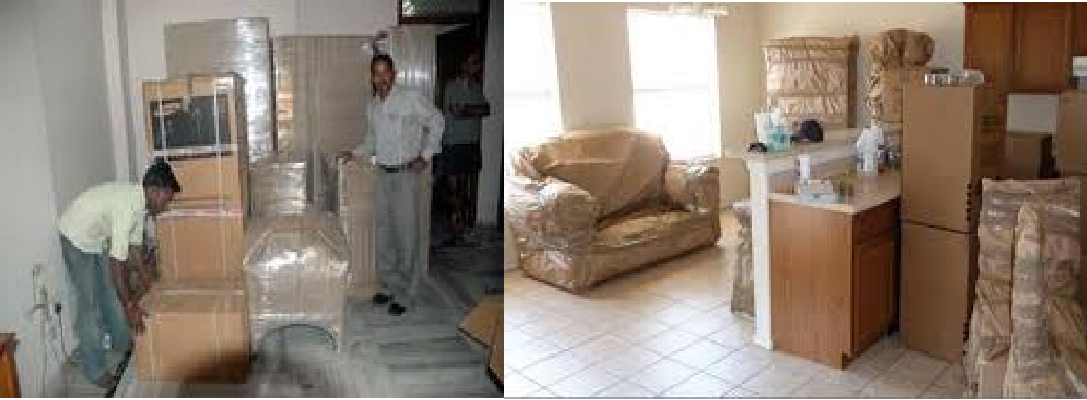 Simplifying Moves: How Usha Packers & Movers Transformed Priya's Relocation Experience