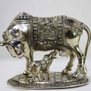 Transform Your Space with Serenity Décor: A Perfect Solution for Modern Indian Homes