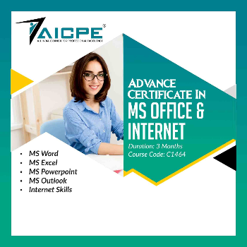 Empower Your Career with MS Office & Internet Skills