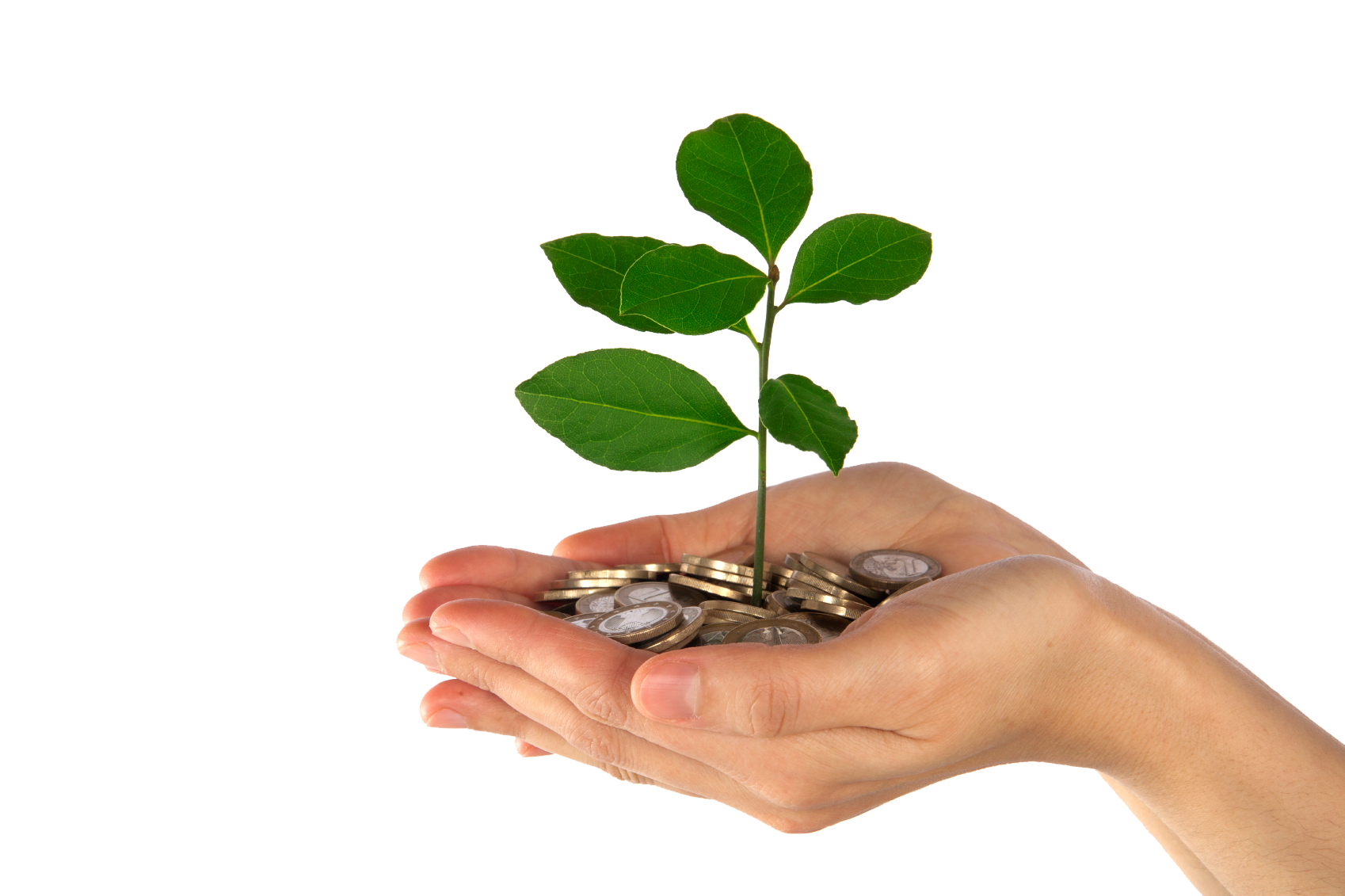 The Crucial Intersection of Health and Wealth Mana | विघ्नहर्ता नवसंजीवनी