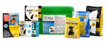 Battling Rodents: How Anjali Found Peace with Effective Rodenticides