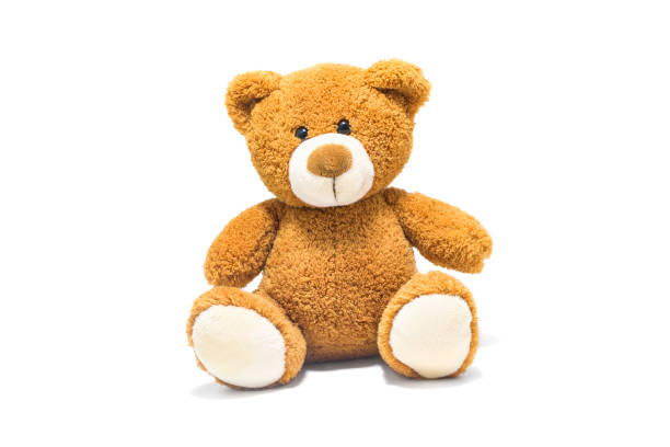 The Perfect Teddy Bear: Bringing Joy and Comfort to Little Hearts