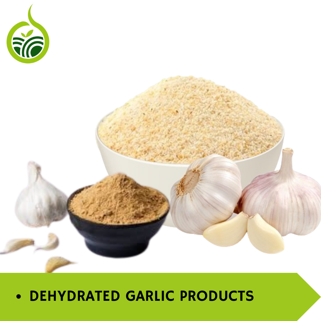 From Farm to Table: How Dehydrated Garlic Revolutionizes Indian Kitchens