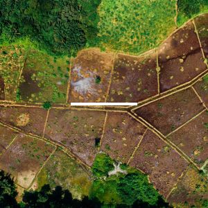 Unlocking Dreams: How Shree Krishna Properties Transforms Land Ownership in India | Shree Krishna Properties