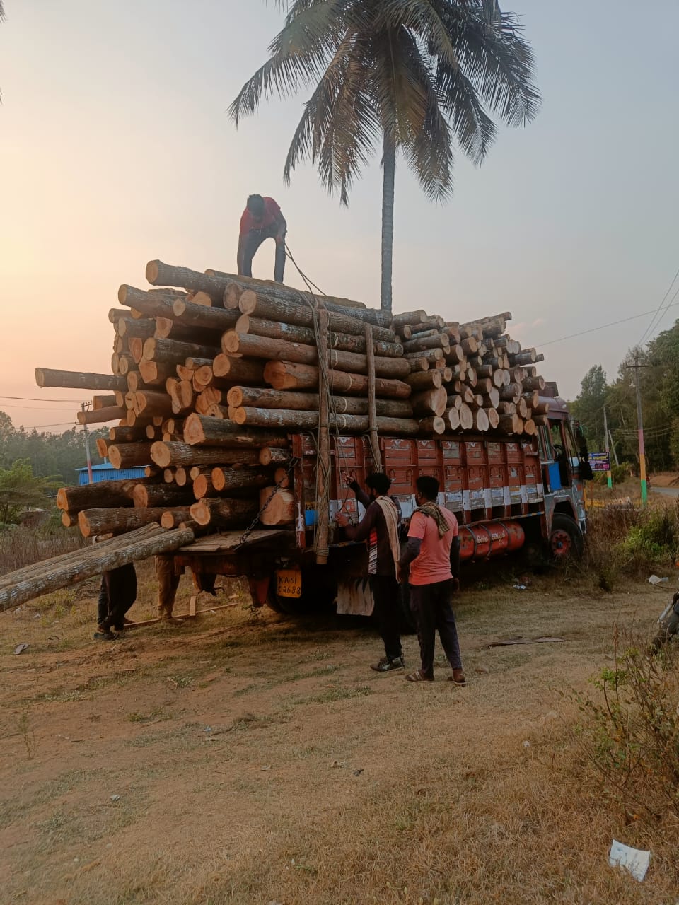 Transforming Dreams into Reality: The Story of Green Wood Timbers and the Craft of Round Logs