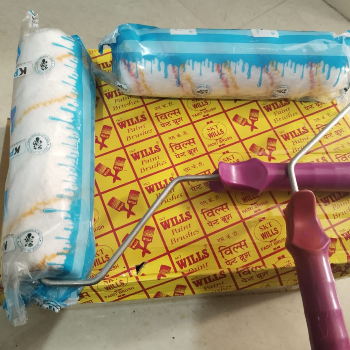 How a Simple Paint Roller Transformed Priya’s Home and Life