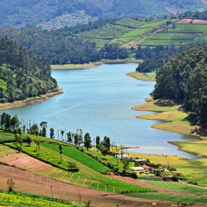 Empowering Dreams: How Castle Heights Properties Transforms Land Buying in India | Castle Heights Properties