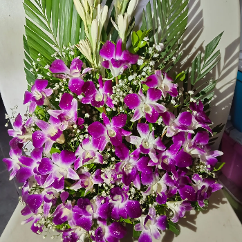 Bringing Joy Home: How Orchids in a Basket Transform Lives