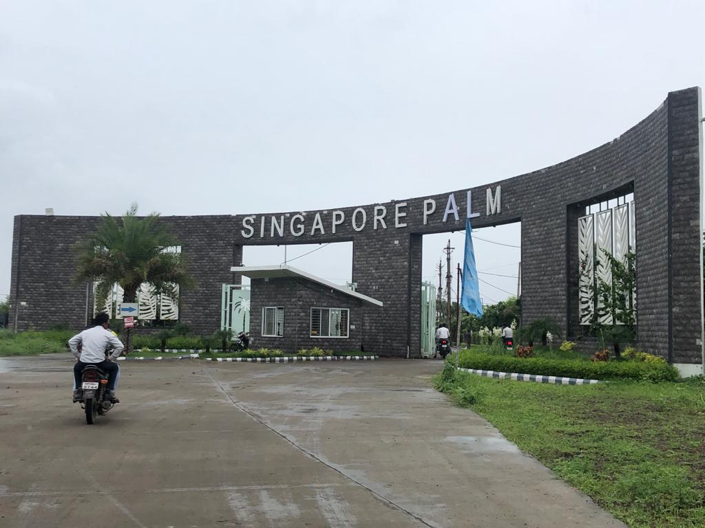 Transforming Urban Living: How Singapore Palm Elevates Your Lifestyle