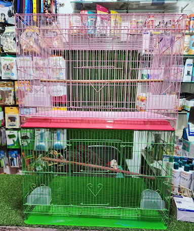 The Perfect Nest: How Bird Cages Bring Joy to Indian Homes