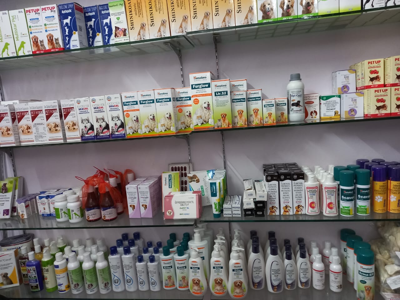 How Shreya Pet Care and Hospital Revolutionized My Pet's Health