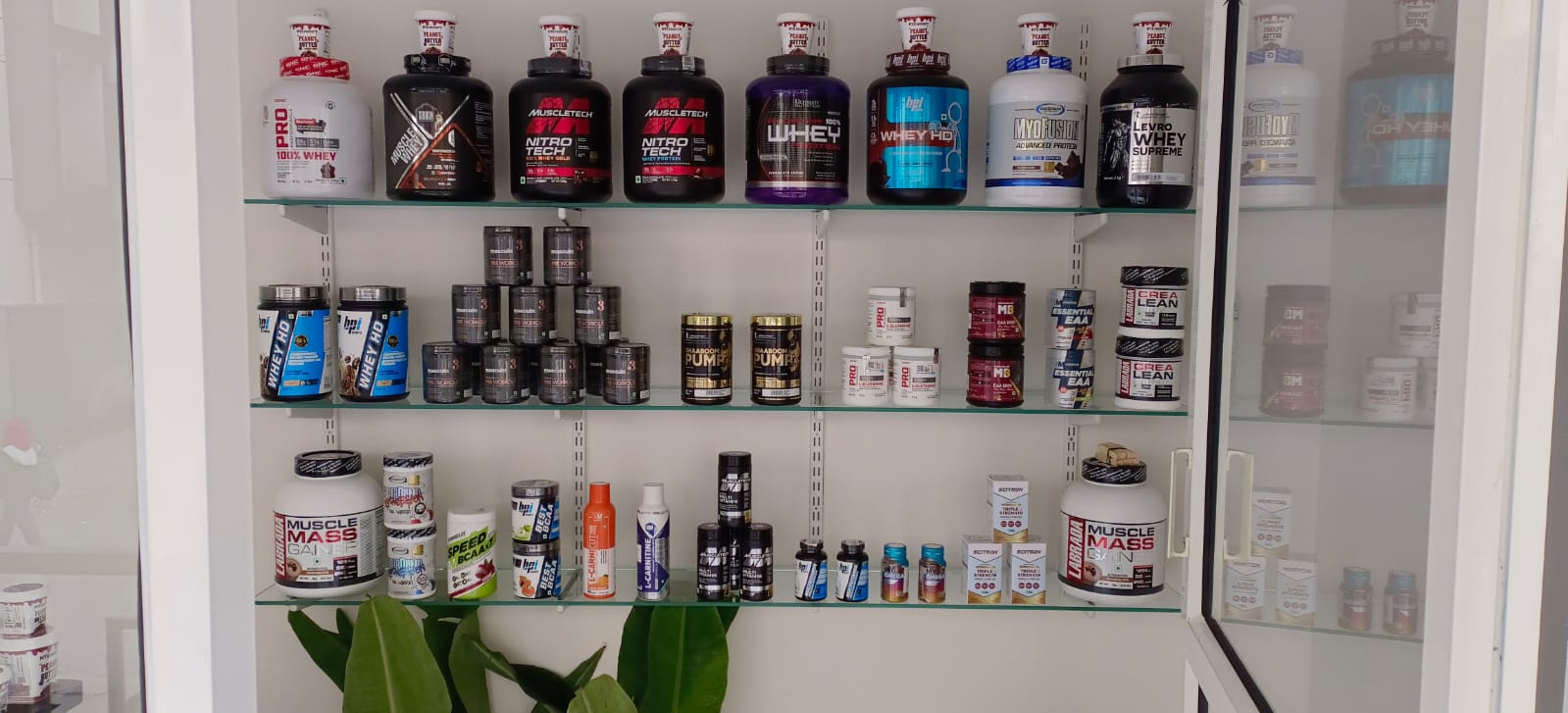 Best Sports Shop in Dhayri Gaon Pune