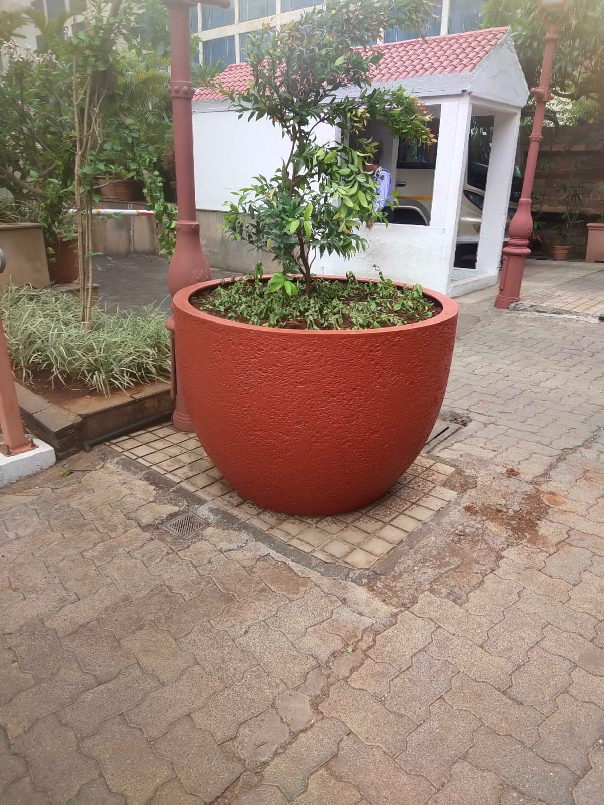 Transforming Spaces: How Phuldanis FRP Planters Bring Joy to Urban Living