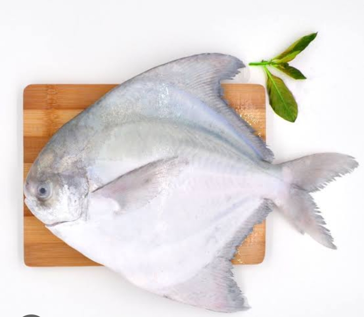 Transforming Lives with Poplet: The Ultimate Fish Shop Solution