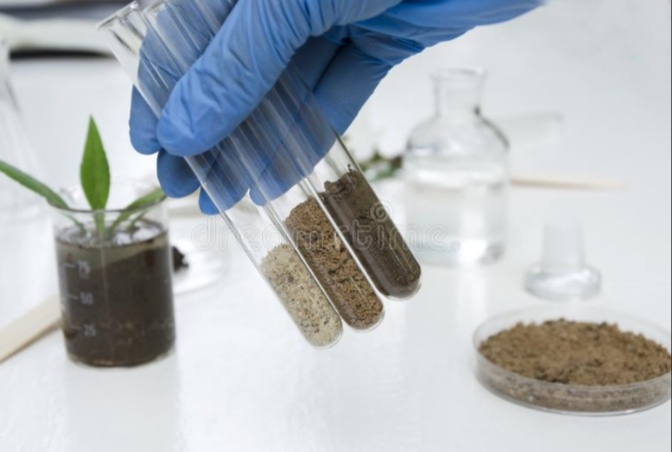 Transforming Indian Agriculture: How Soil Testing Empowers Farmers