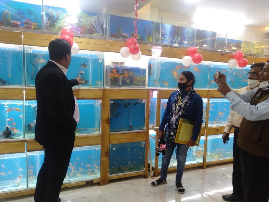 Transform Your Living Space with High-Quality Aquariums