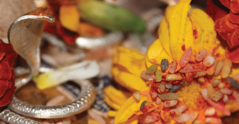 Embracing Positivity: How Tribakeshwar Narayan Nagbali Puja Transformed Rajesh's Life