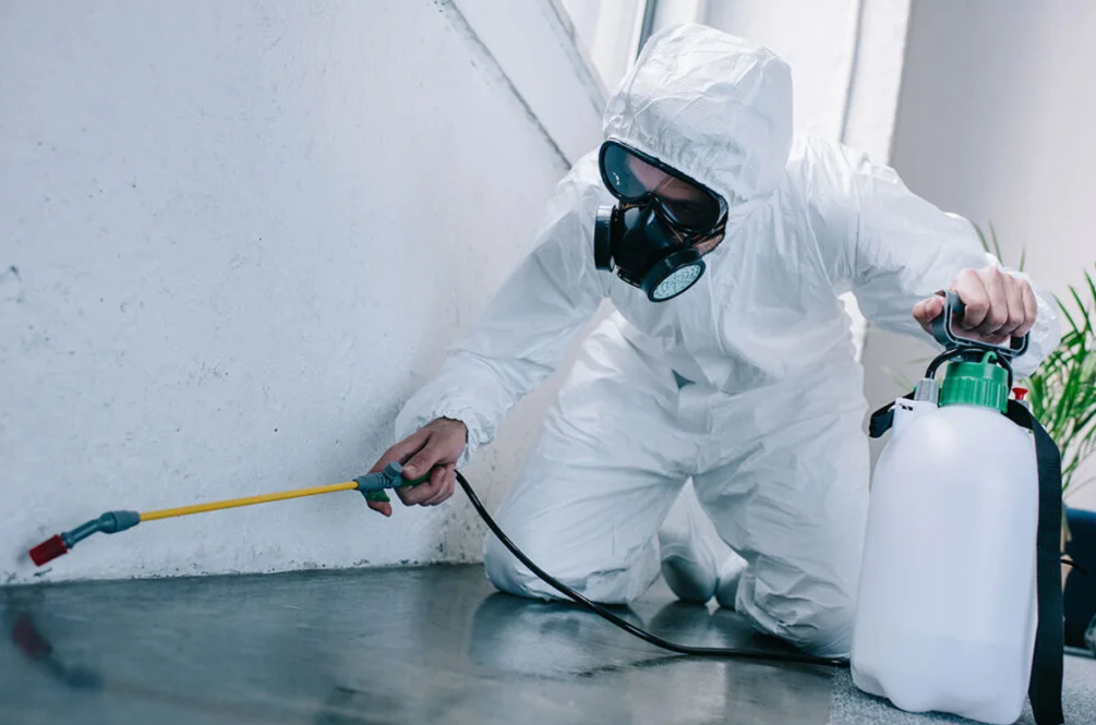 How Fumigation Treatment Transformed Rajesh's Warehouse Woes