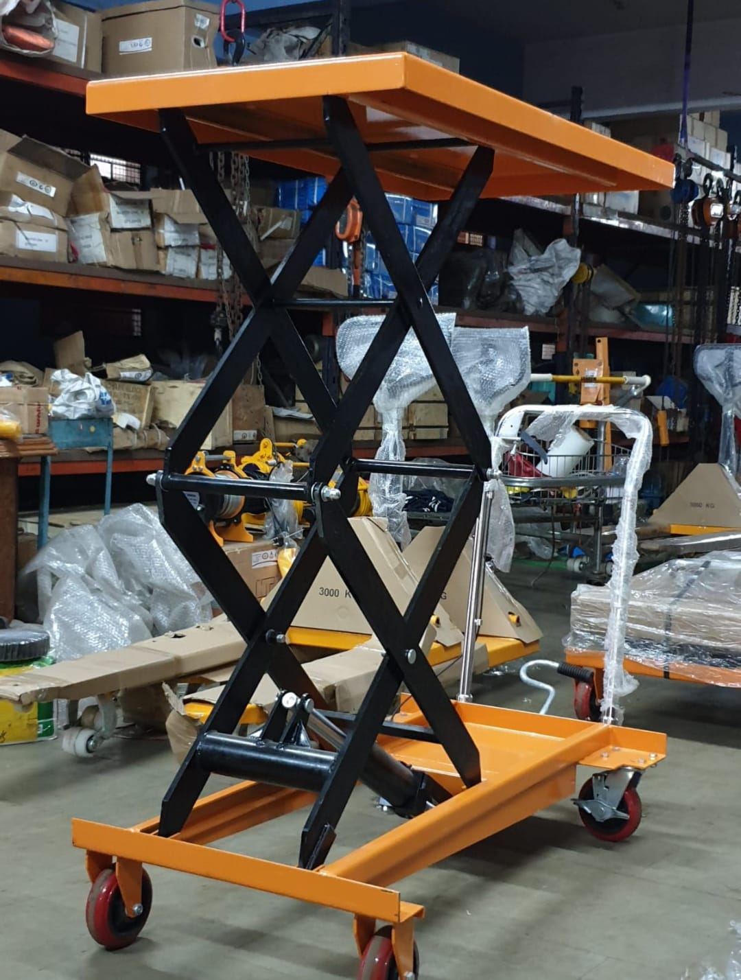 Transforming Lives with Seccior Lifts: A Journey to Accessibility