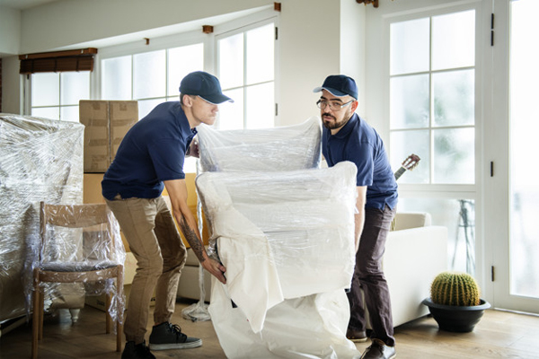 Transforming Moves: How Alpha Cargo Packers & Movers Eases Relocation Stress
