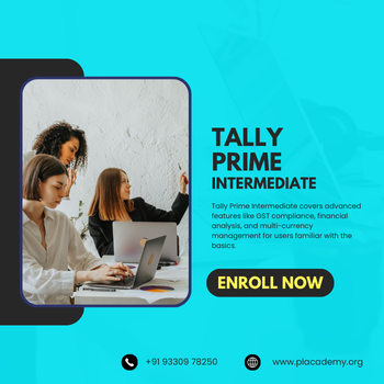 Empowering Small Business Owners with Tally Prime Intermediate