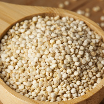 Embrace Wellness with Organic Jowar: A Journey to Health | Organicowls