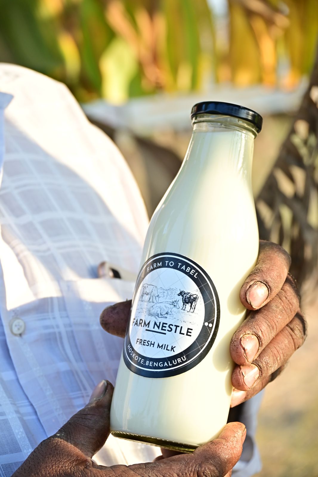 Embrace Purity: How Farm Nestle’s Organic Milk Transforms Lives