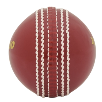The Perfect Cricket Practice Ball for Aspiring Cricketers: A Story of Passion and Progress