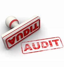 Empowering Entrepreneurs: How Audit Support Transforms Business Challenges