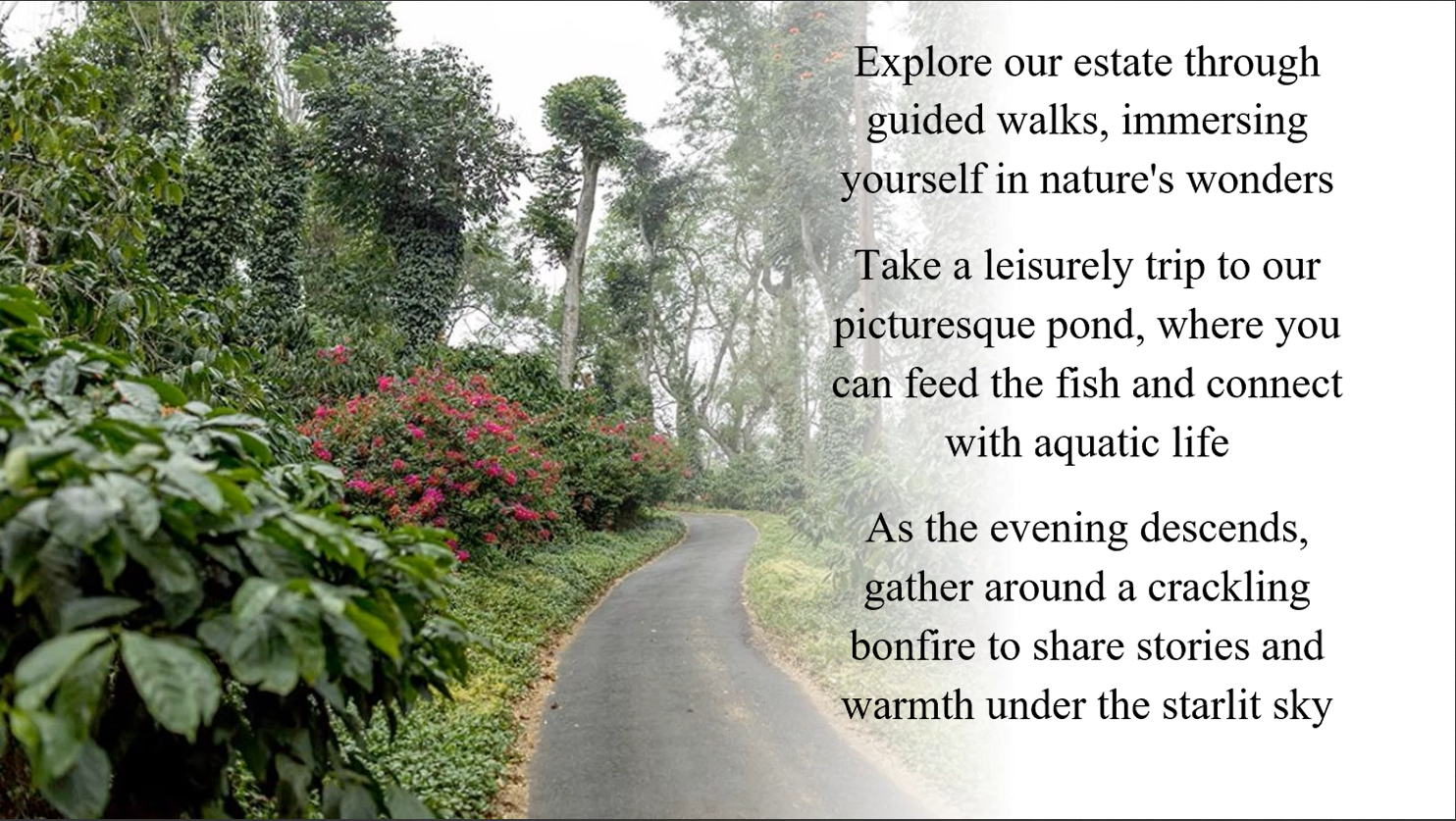 Discovering Harmony: How Nature's Journey Transforms Mira's Life