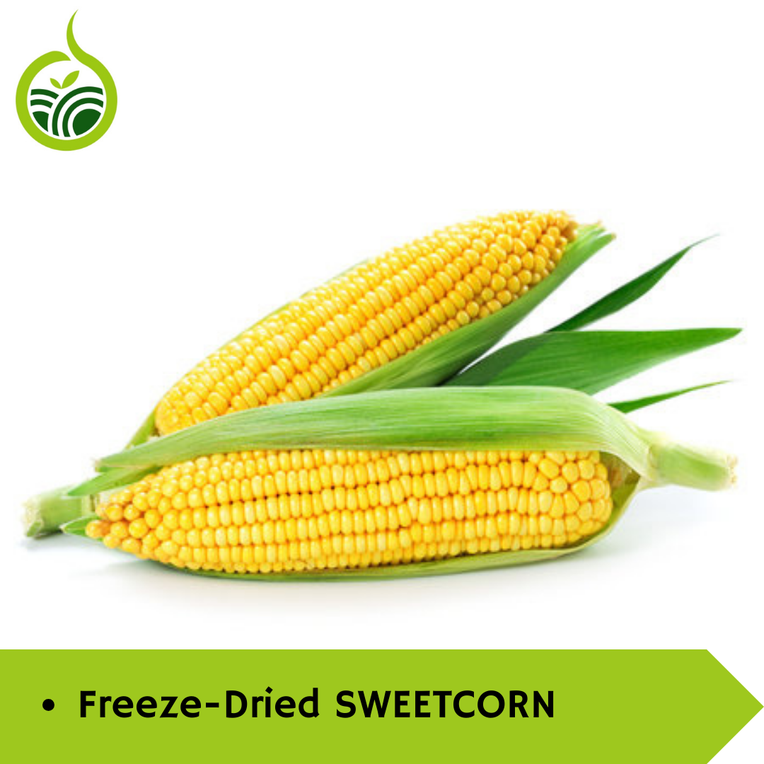 Reviving Tradition: How Freeze-Dried Sweet Corn is Rekindling India's Love for Healthy Snacking