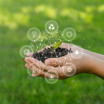 Embracing Nature: How One Indian Entrepreneur Found Harmony in Business