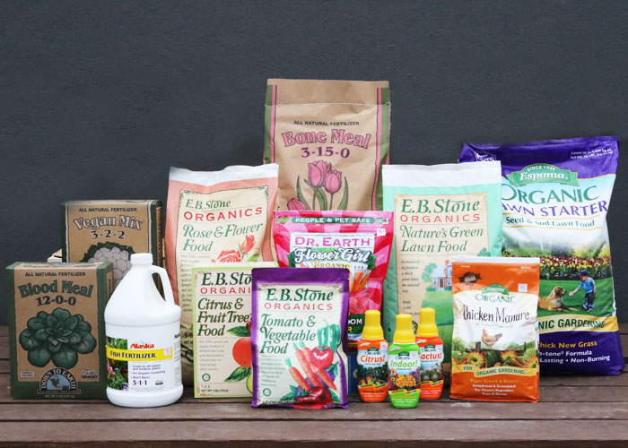 Nurturing Growth: How Farmers Like Raghav Transformed Their Harvests with All-in-One Fertilizer