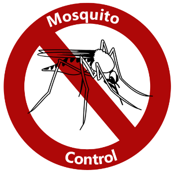 Banishing Mosquito Menace: Rajeshwari's Guide to a Peaceful Home