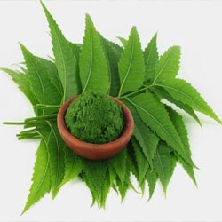 Embracing Nature’s Remedy: Transform Your Life with Neem Powder