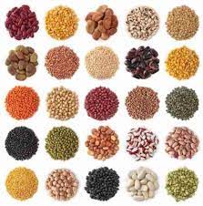 From Seed to Success: Transforming Agriculture with ShriYogmaya CashCounter